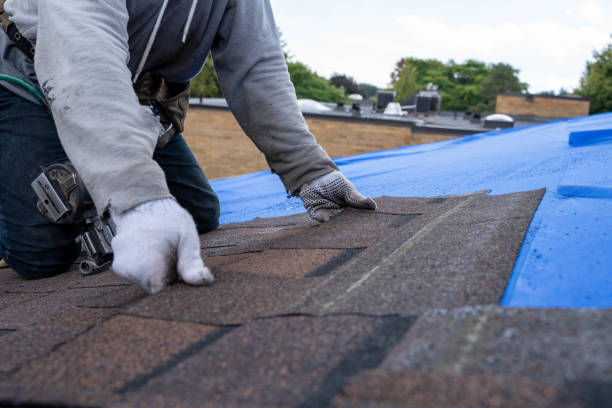 Roof Gutter Cleaning in Plumsteadville, PA