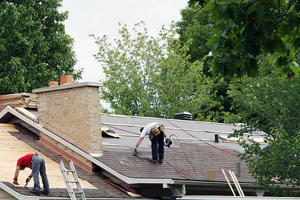 Best Roof Gutter Cleaning  in Plumsteadville, PA
